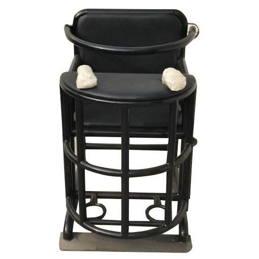 铁质审讯椅A款（软包）